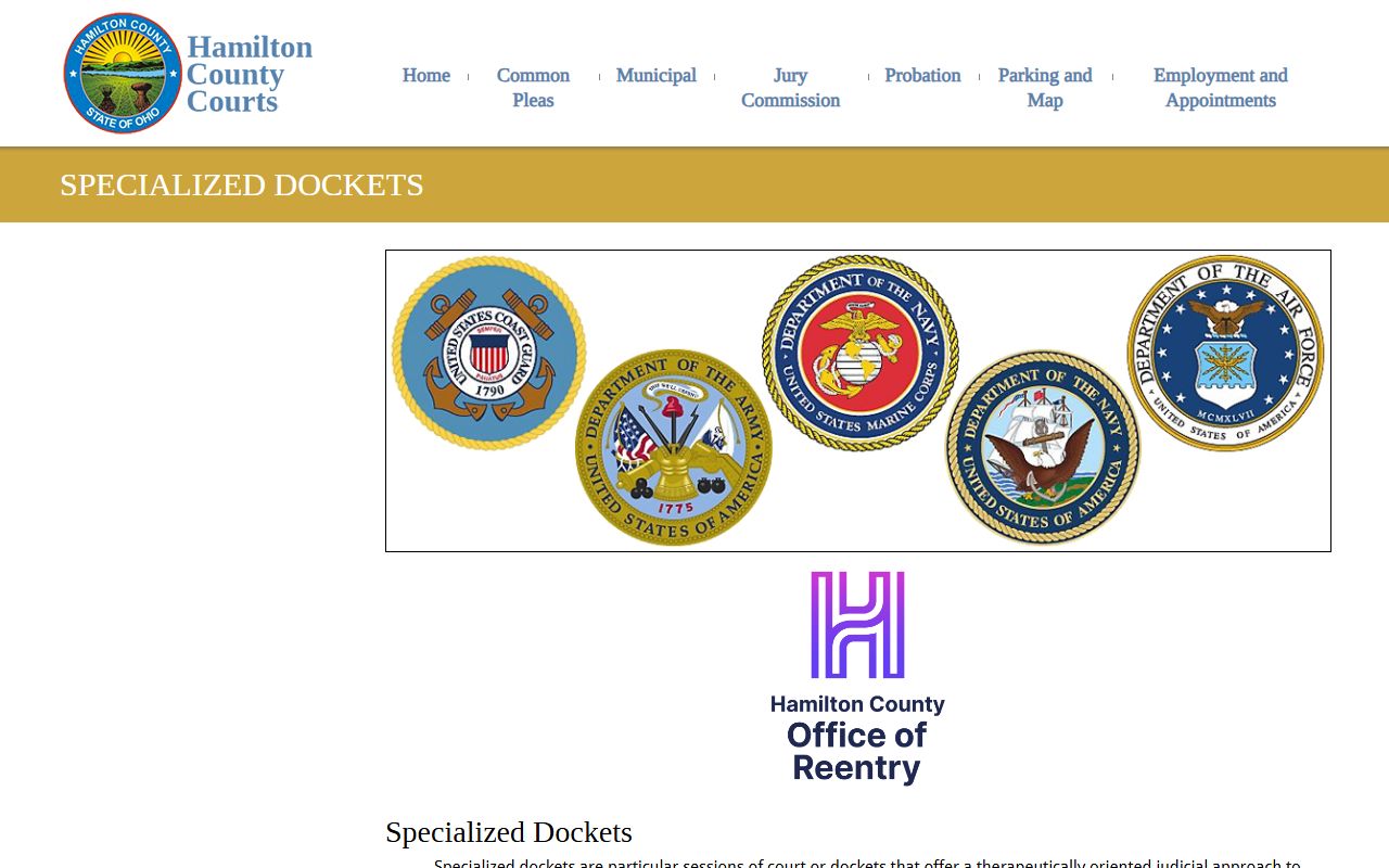 Hamilton County court dockets page for Common Pleas specialized docket programs
